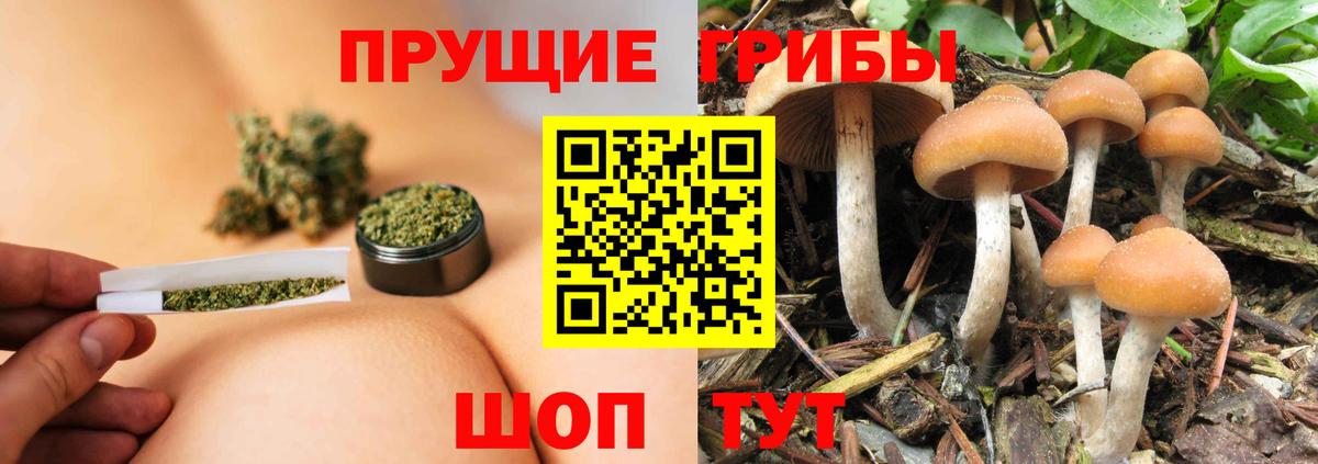 Урюпинск  Галлюциногенные грибы Psilocybe  Псилоцибиновые грибы MAGIC MUSHROOMS  Вход с VPN 